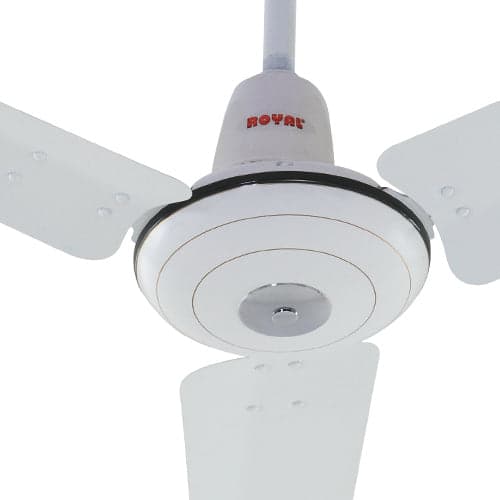  Fan ROYAL