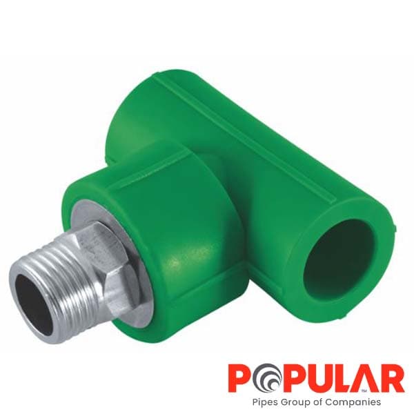 Tee Male Polupar