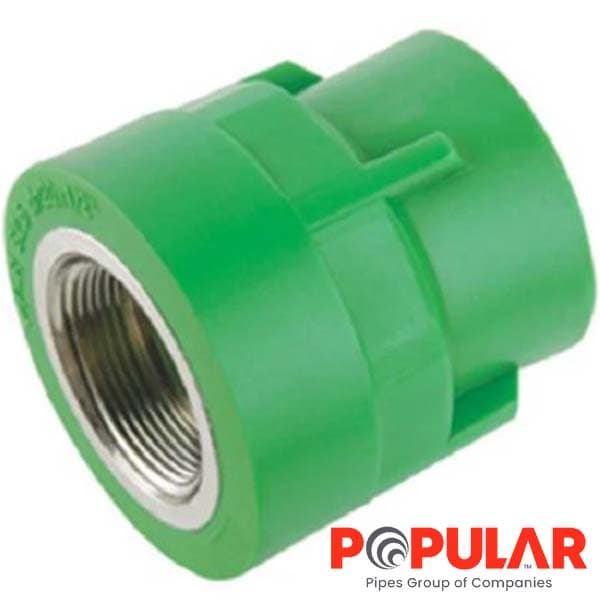 Socket Female Polupar