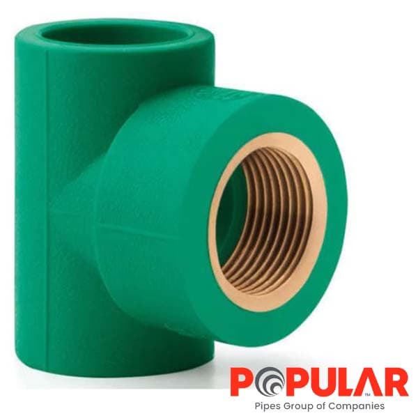 Tee Female Polupar